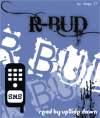 RBUDSPlash 4